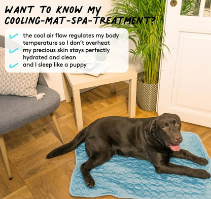Cooling Mat